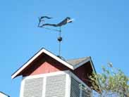 フロッグスリープ