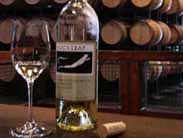 フロッグスリープ