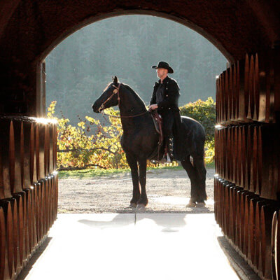 ゴーストホースのオーナー兼ワインメーカー、トッド・アンダーソン