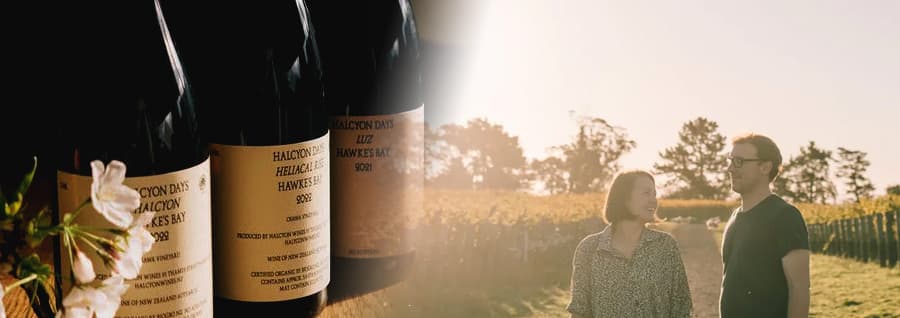 ハルシオン・デイズ