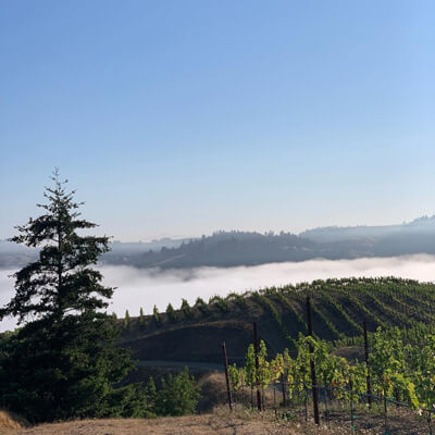 イーストリッジ・ヴィンヤード