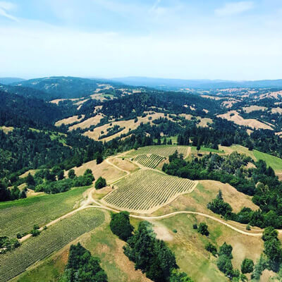 ハーシュ・ヴィンヤーズの複雑な地形