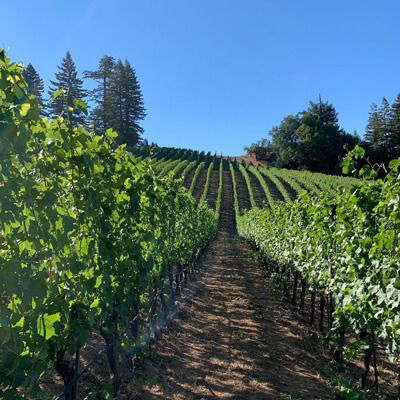 マリタイムフィールド