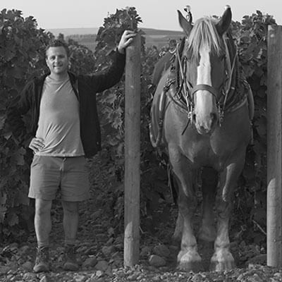 ホースパワー ヴィンヤーズのクリストフ・バロンと荷馬