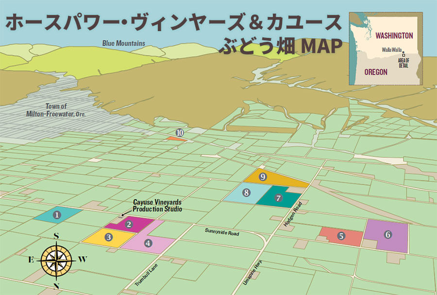 カユース＆ホースパワーヴィンヤード　ブドウ畑マップ