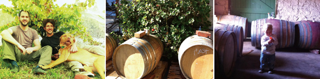 ヤウマのイメージ写真