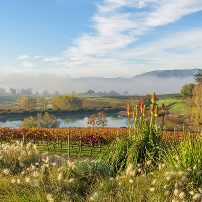 ペタルマギャップ