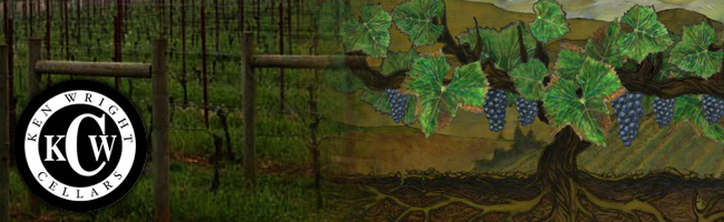 ケン ライト セラーズ