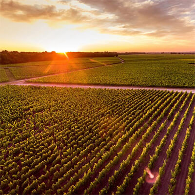 シャトー・ラグランジュ