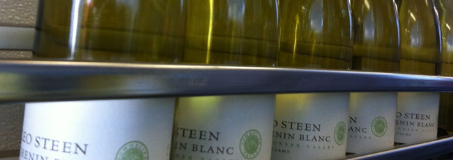 レオ スティーン