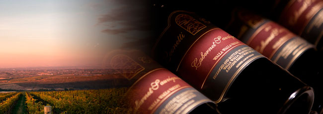 レオネッティ セラー