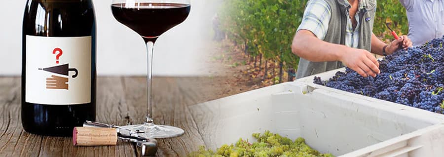 ロストアンドファウンド