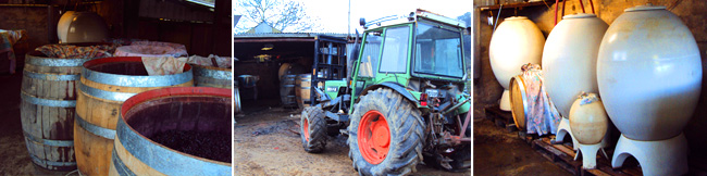 ルーシー　マルゴー　写真