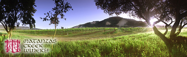 マタンザス クリーク ワイナリー