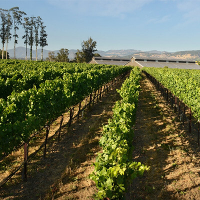 スタンリー・ランチ・ヴィンヤード