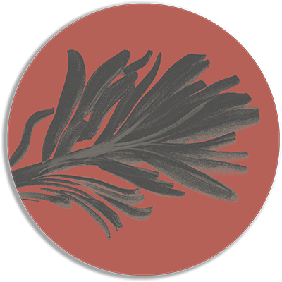 カベルネ・ソーヴィニヨン