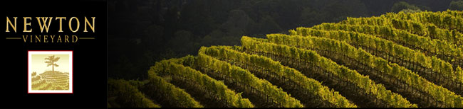 ニュートン Newton