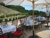 ニュートン　ワイナリー3