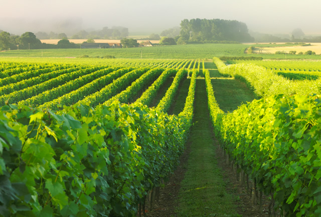 ナイティンバー 