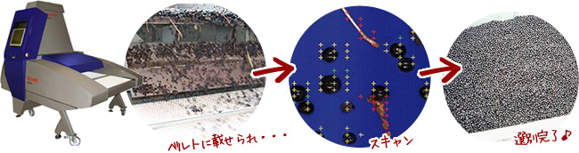 葡萄の選別マシン