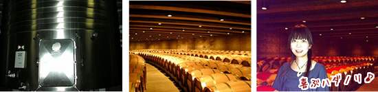 オーパスワンのワイナリーにて