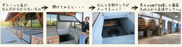 ずらーっと並ぶ、なんだか分からないもの・・・・？を開けると・・・・なんと全部タンクが入ってるっっ！それぞれの畑で収穫したブドウをこのタンクに地上から入れると言うわけです。