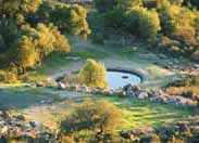 パルメイヤーの写真