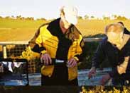 パルメイヤーの写真