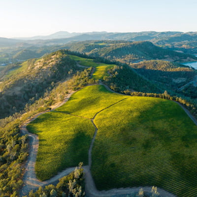 パルメイヤーが使っている険しい山岳地域のブドウ畑