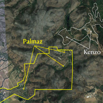 パルマッツ ヴィンヤーズの場所はあのケンゾーエステートのお隣