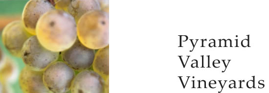 ピラミッド・ヴァレー