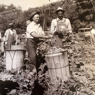 1世代目ジョー・ロキオリ・シニア