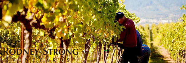 ロドニーストロング