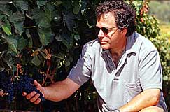 ワインメーカー兼社長ブルース・マッグワイア氏