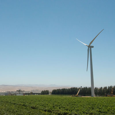 シャイド・ヴィンヤードの風力発電タービン