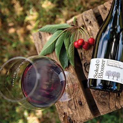 ソーコル ブロッサー