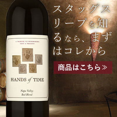 スタッグスリープを知るならまずはコレから『ハンズオブタイム』