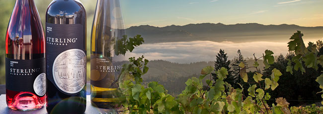 スターリング ヴィンヤーズ 