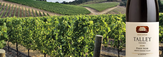 タリー ヴィンヤーズ