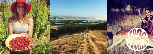 タン イン グルーヴ