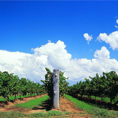 ウインダウリー・エステート