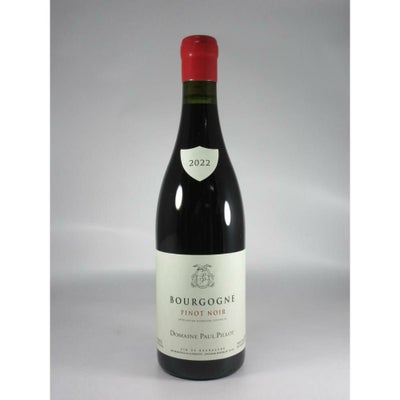 ポール ピヨ ブルゴーニュ ピノ ノワール [2022]