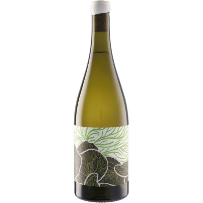 フューチャー パーフェクト ワインズ フューチャー パーフェクト シャルドネ [2024]