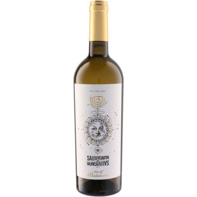 ヴィル ブドゥレアスカ ソーヴィニヨン＆ソーヴィニヨン [2023]